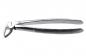 Preview: Extracting Forceps Fig. 13