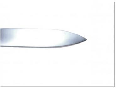 Amputation knife 26 cm