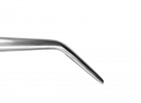 Endodontic Forceps