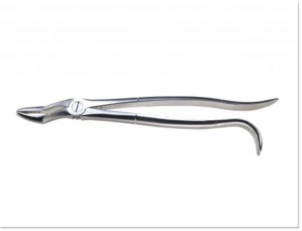 Zahnzange Großtiere und Hasen 31 cm