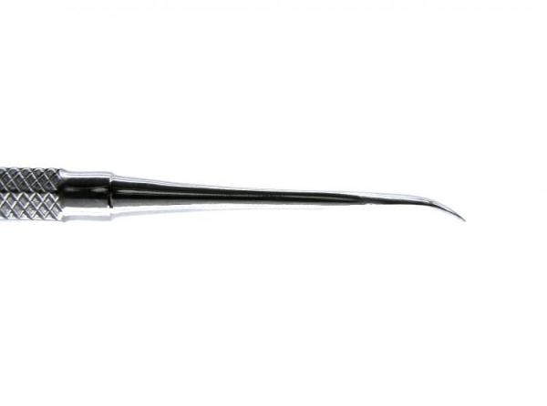 raspatory molt 7.4 inch (19 cm)