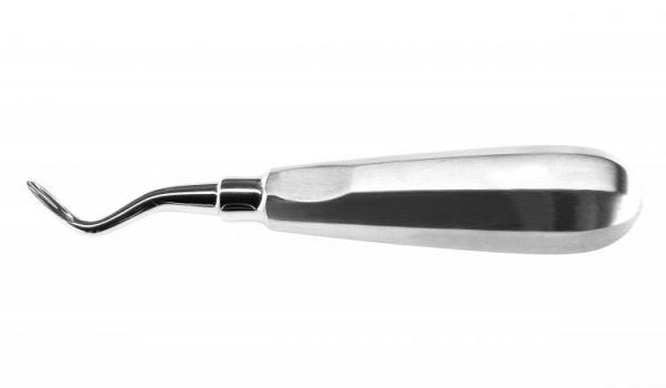 Wurzelheber Apical rechts Fig.1