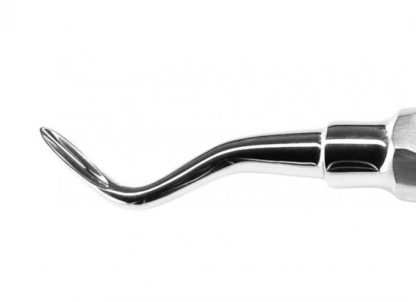 Wurzelheber Apical links Fig.1