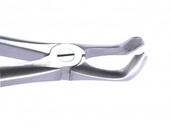 dental forceps fig. 79