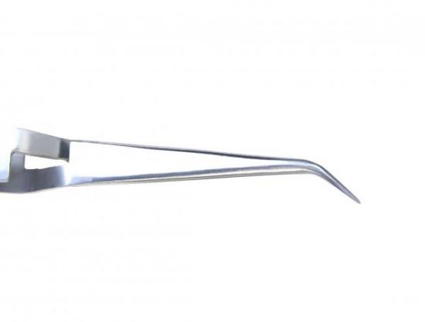 Zeckenpinzette 12 cm