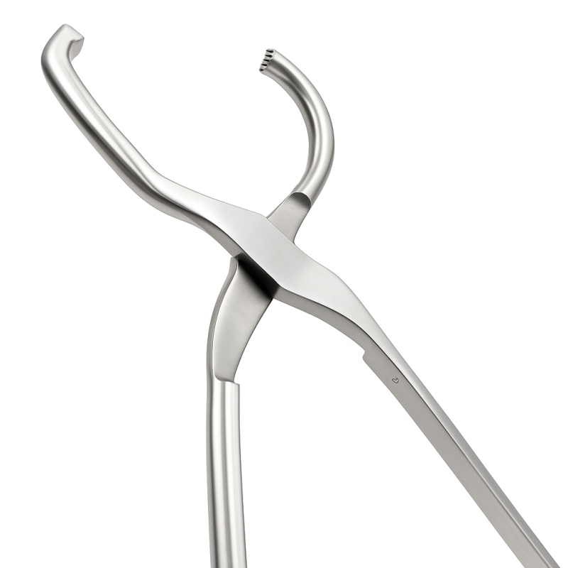 Hufuntersuchungszange 40 cm