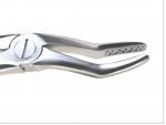 Dental forceps large animals and rabbits 31 cm